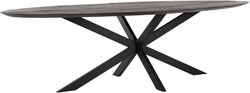 DTP Home Timeless Black dining table Shape 280 cm