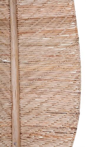 ML 524344 Banana leaf large_2