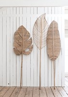 Banana, Mango & Peach Leaf large_Sfeer