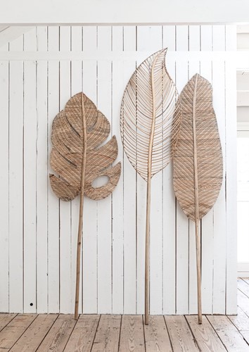 Banana, Mango & Peach Leaf large_Sfeer
