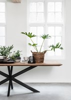 TI 520637 Curves dining table_Detail 2