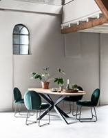 TI 601384 Dining table Shape + ML 749692 Chair Bouton_Sfeer