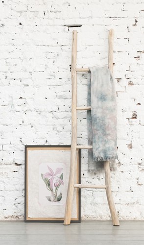 ML 801900 Must Have Ladder