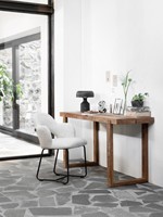 CL 580411 Icon console writing desk-ML 749415 Vista arm chair Polaris natural