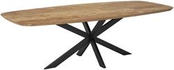 DTP Home Evo eettafel 260 cm