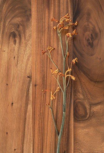 Flare wood_Detail 1