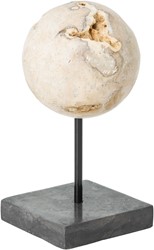 MUST Living object Ball Cheese Stone