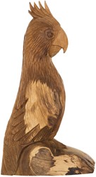 MUST Living papegaai Rio