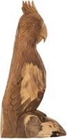 ML 353501 Parrot Rio_1