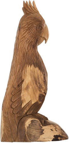 ML 353501 Parrot Rio_1