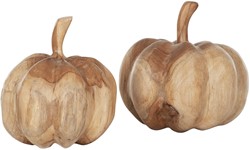 MUST Living pompoenen