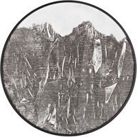 ML 426484 Wall panel Imaginary small_1