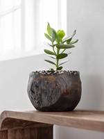 ML 430944 Coral bowl_sfeer