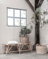 ML 520043 Bench San Antonio + ML 890460 Basket Patio + ML 920175 Cushion Boho_Sfeer 1