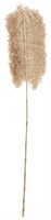 MUST Living Sisal leaf
