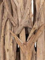 ML 833570 Floorlmap Forest_Detail