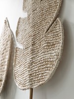 ML 842791 Leaf Ageal - ML 842790 Leaf Persica_Detail