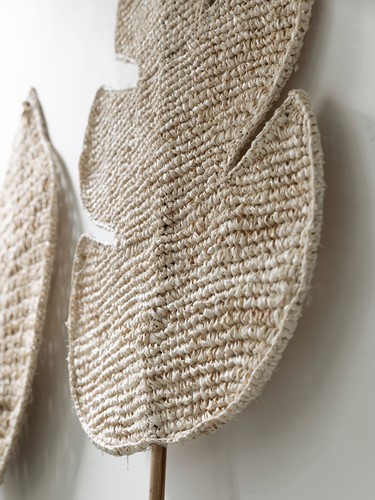 ML 842791 Leaf Ageal - ML 842790 Leaf Persica_Detail