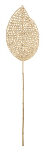 ML 842791 Leaf Ageal_1