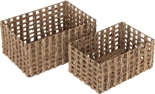 MUST Living manden Salvador