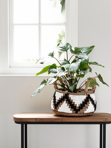 ML 842910 Basket Mendoza_Sfeer