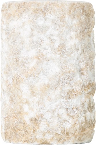 ML 852015 Vase Fossil_1