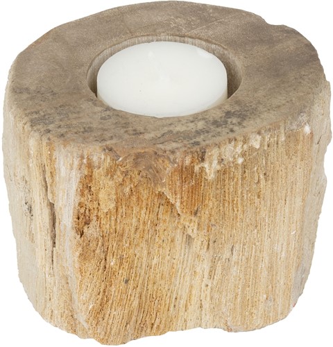 ML 852016 Candle holder Fossil_2