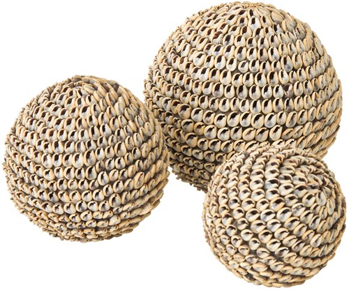 ML 855920 Beach shell ball_2