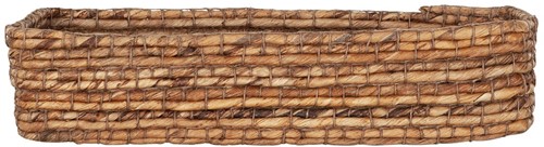 ML 890477 Breadbasket Santa Gertrudis_1