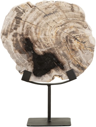 ML 890932 Statue Fossil_1