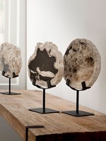ML 890932 Statue Fossil_Sfeer Staand