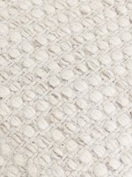 Detail Asuri Ivory