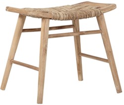 MUST Living kruk Rex